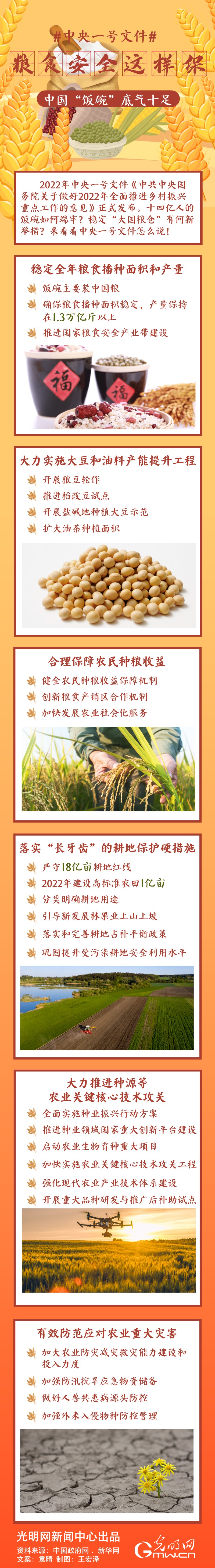中央一號(hào)文件｜糧食安全這樣保，中國“飯碗”底氣十足