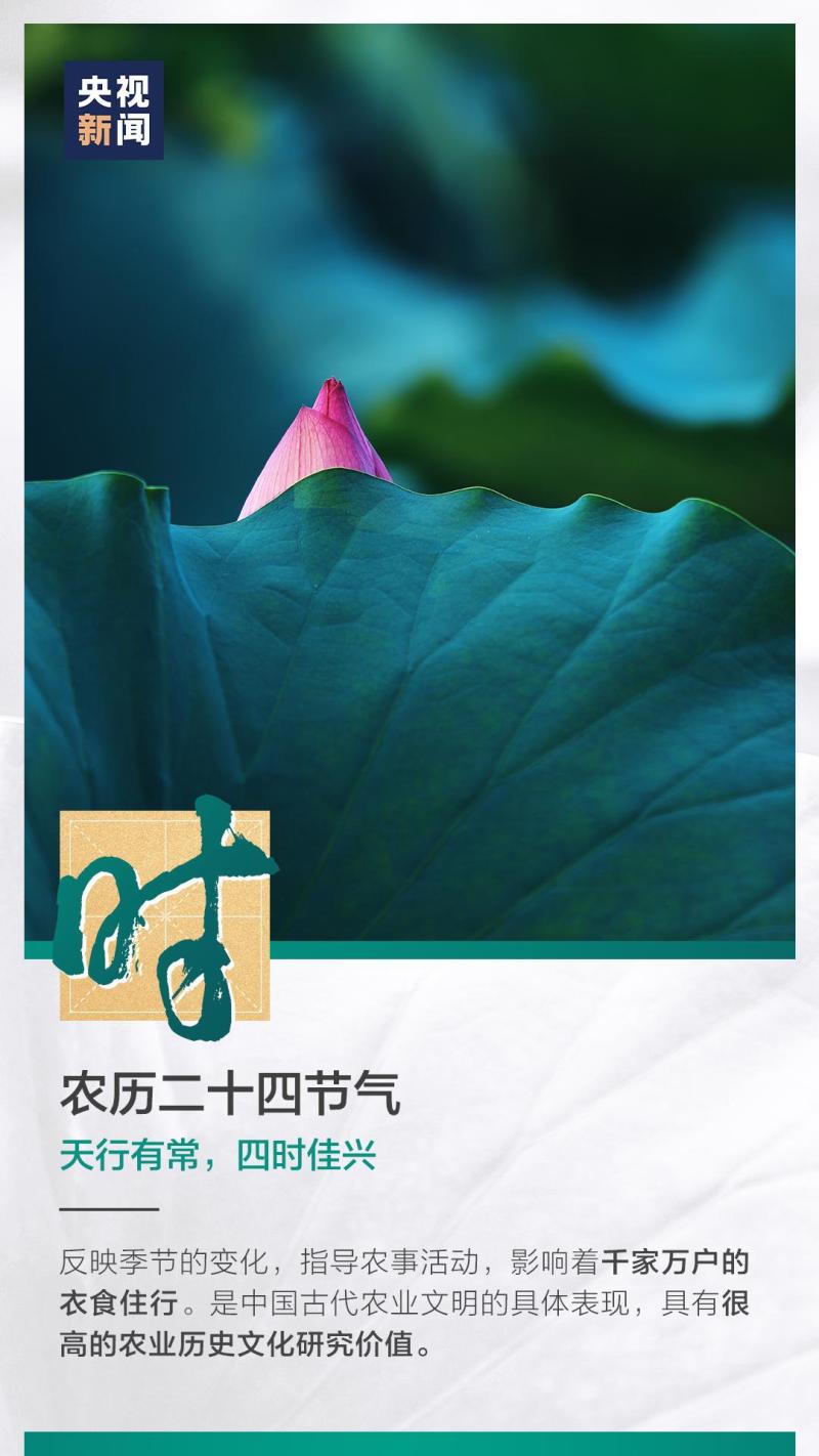這也太浪漫了吧！