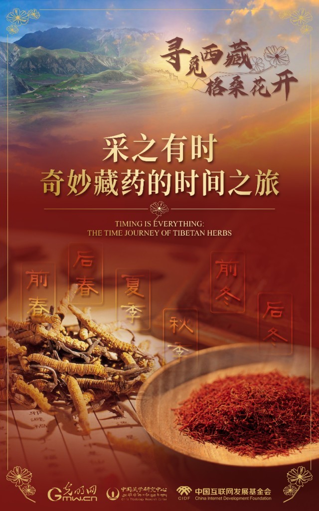 【尋覓西藏·格?；ㄩ_(kāi)】采之有時(shí)：奇妙藏藥的時(shí)間之旅