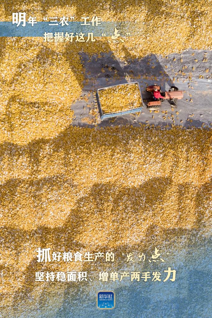明年“三農(nóng)”工作，這幾個“點”要把握好