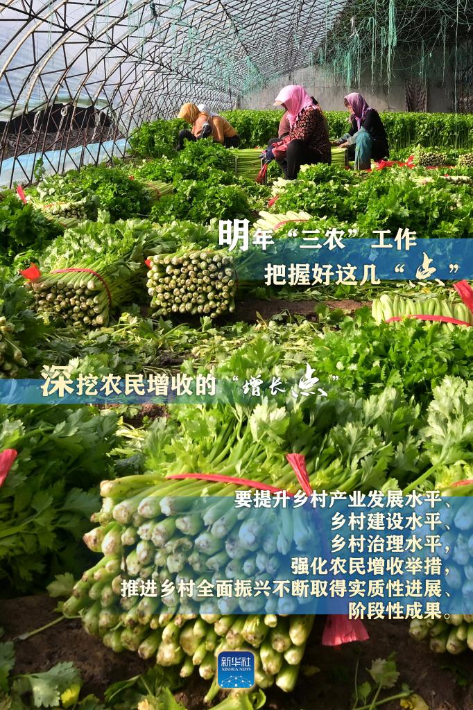 明年“三農(nóng)”工作，這幾個“點”要把握好