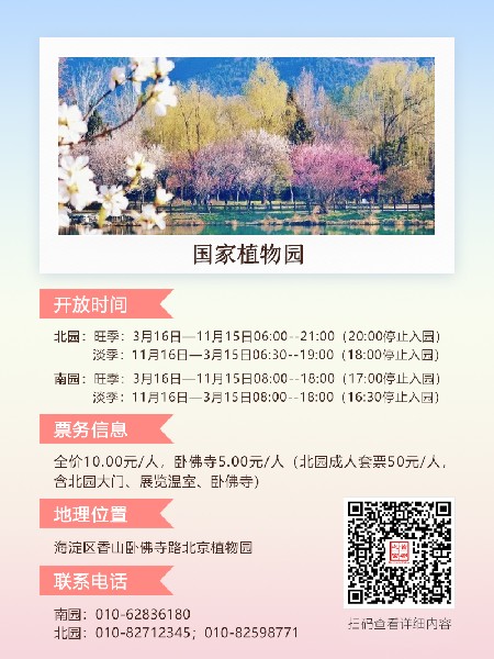 追花指南第三期！別等了 今天就去和桃花撞個滿懷