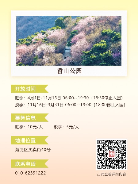 追花指南第六期！杏花雨 楊柳風(fēng) 北京最美的杏花在這里