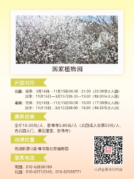 追花指南第六期！杏花雨 楊柳風(fēng) 北京最美的杏花在這里