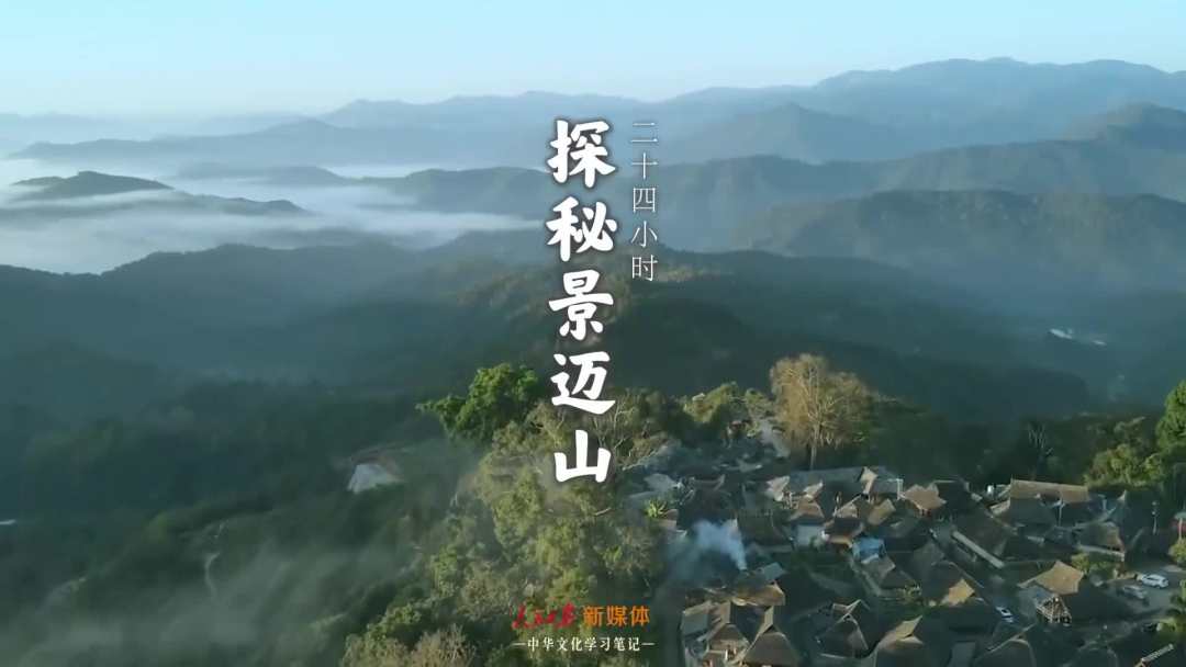 景邁山是個什么山？航拍云南普洱森林里的世界遺產(chǎn)
