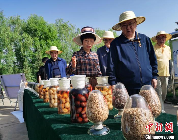 青海：利用冷涼氣候，打造高原綠色種業(yè)輸出地
