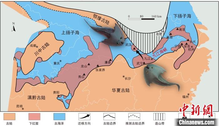 華南地區(qū)志留紀(jì)早期古地理圖和盔甲魚(yú)類化石產(chǎn)地(山顯任改自陳旭、戎嘉余，1996；戎嘉余等，2012) 中科院古脊椎所 供圖