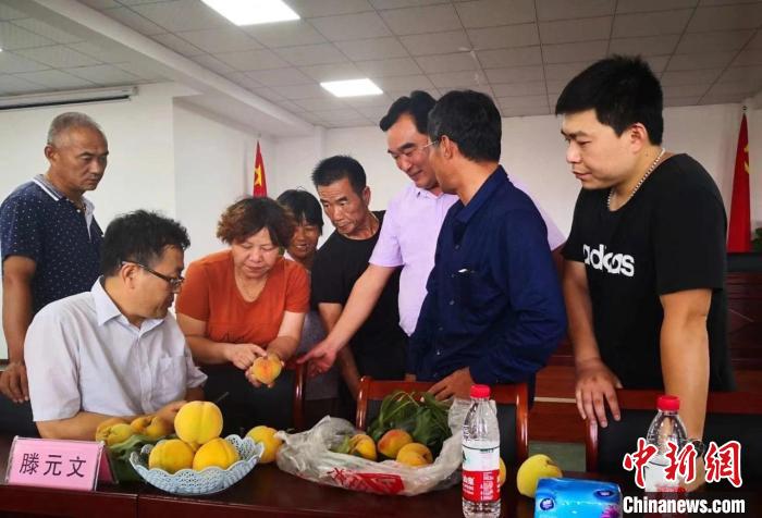 民進浙江省委會為三里橋黃桃種植戶送技術、送指導。　嘉善統(tǒng)戰(zhàn) 供圖