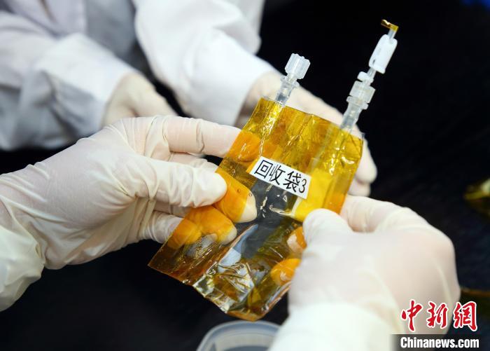 隨神舟十五號(hào)返回地面的空間科學(xué)實(shí)驗(yàn)樣品?！≈锌圃嚎臻g應(yīng)用中心 供圖