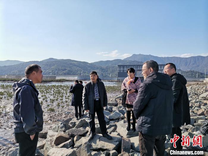 浙江海洋生態(tài)觀察：智慧大腦如何解鎖藍色發(fā)展密碼？