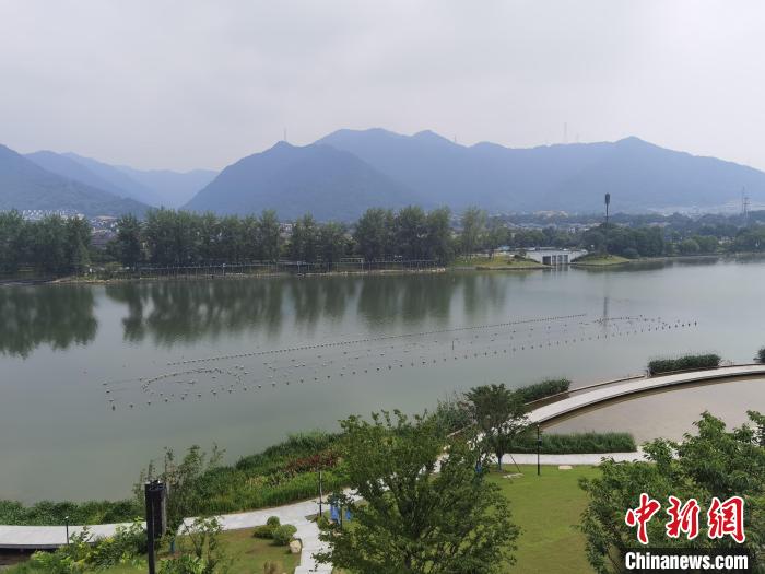 兩岸媒體共探杭州亞運(yùn)會(huì)“綠”在何處？