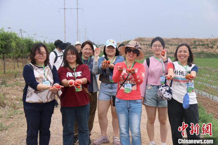 圖為臺胞體驗大美內(nèi)蒙古?！⊥袐I供圖