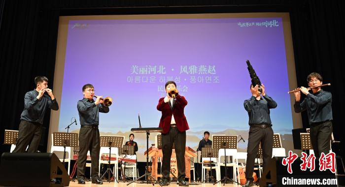 圖為音樂(lè)會(huì)現(xiàn)場(chǎng)?！∈谞栔袊?guó)文化中心供圖