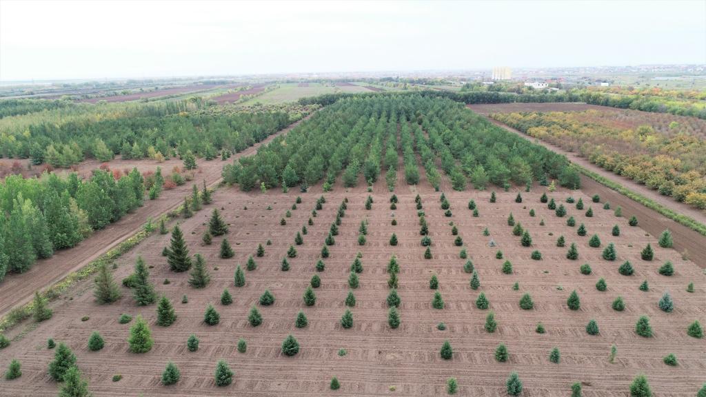 這是2023年9月11日在哈薩克斯坦首都阿斯塔納拍攝的一處植物種質資源苗圃（無人機照片）。新華社發(fā)（法爾哈特·圖克諾夫 攝）