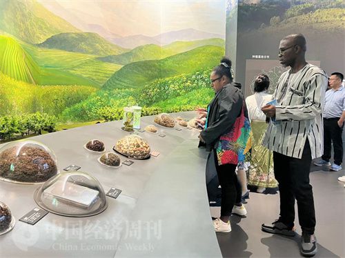   （在中國(guó)藥都中醫(yī)藥博物館，外媒記者了解中醫(yī)藥發(fā)展史。中國(guó)經(jīng)濟(jì)周刊記者 郭志強(qiáng) 攝）