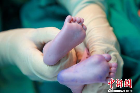 資料圖。簡(jiǎn)文楊 攝