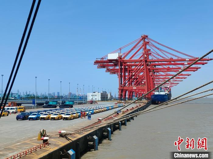 資料圖：國產(chǎn)新能源車在上海外高橋港區(qū)海通碼頭“整裝待發(fā)”?！∑址?攝