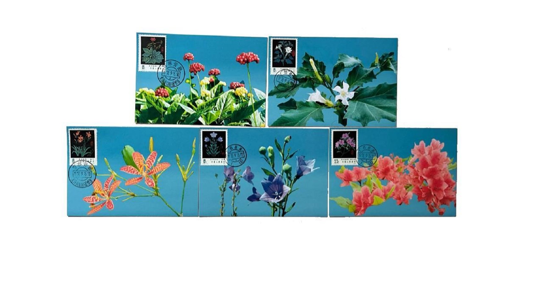 首套藥用植物極限片。第七屆阿聯(lián)酋集郵展主辦方供圖