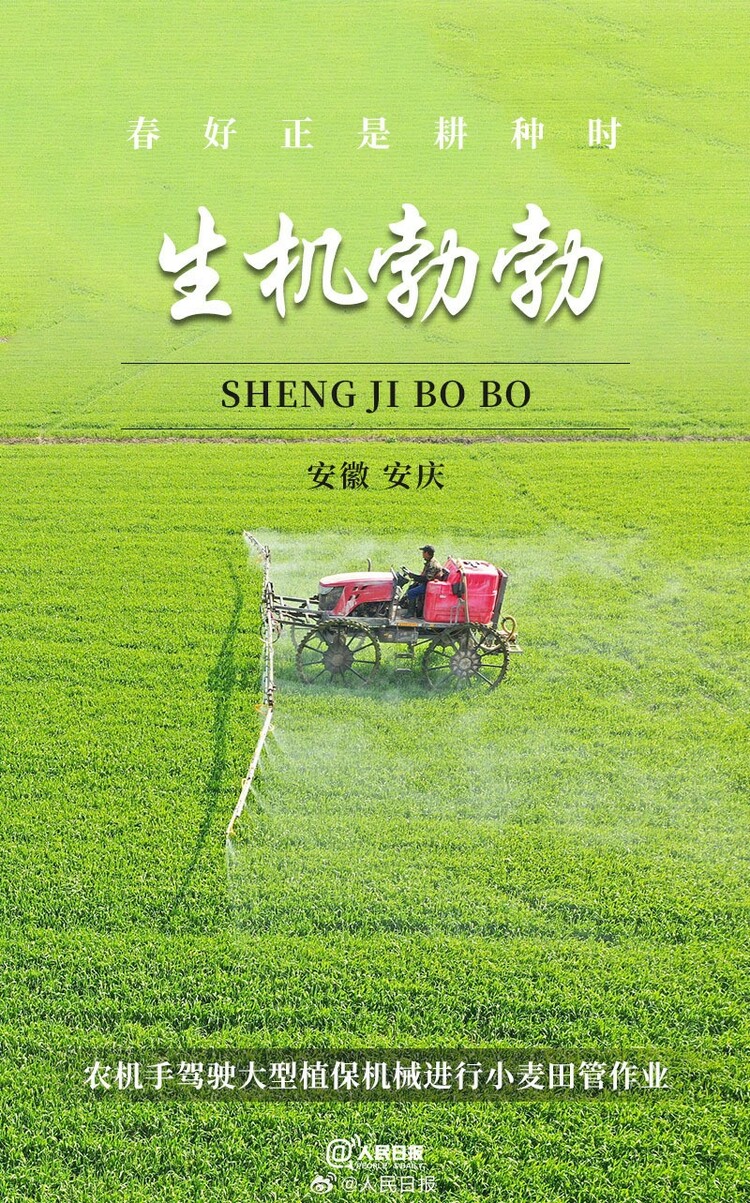 生機(jī)盎然！用課本封面打開春耕畫卷