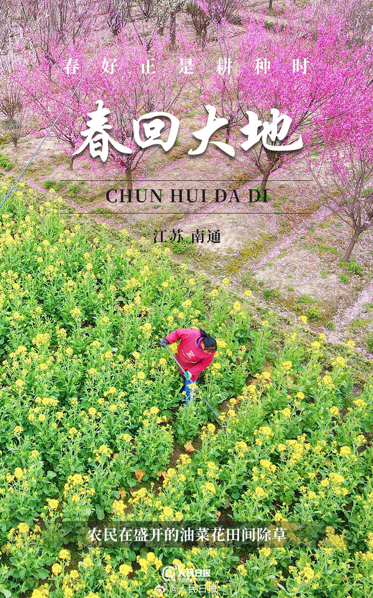 生機(jī)盎然！用課本封面打開春耕畫卷