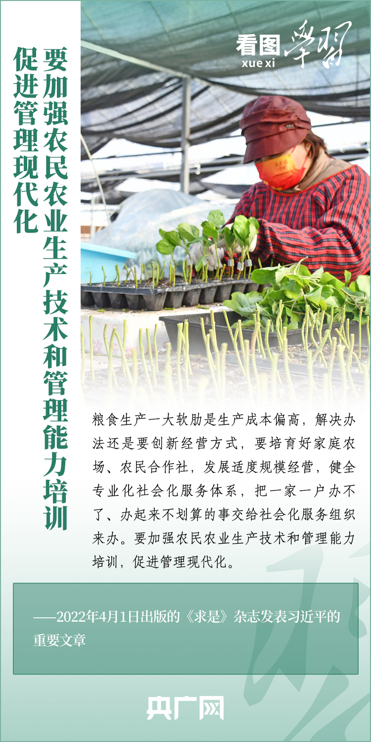看圖學(xué)習(xí)丨推廣良田、良種、良法、良機(jī) 給農(nóng)業(yè)現(xiàn)代化插上科技的翅膀