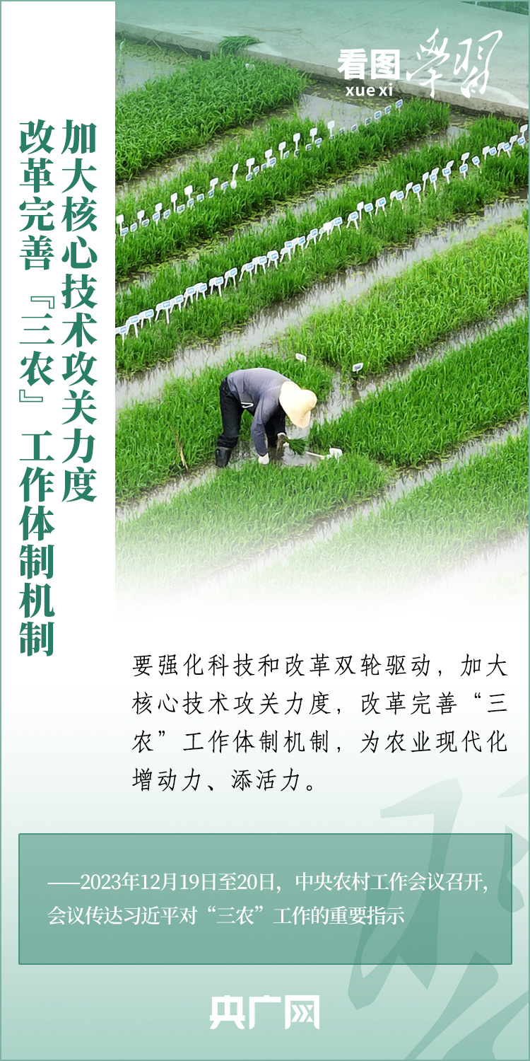 看圖學(xué)習(xí)丨推廣良田、良種、良法、良機(jī) 給農(nóng)業(yè)現(xiàn)代化插上科技的翅膀