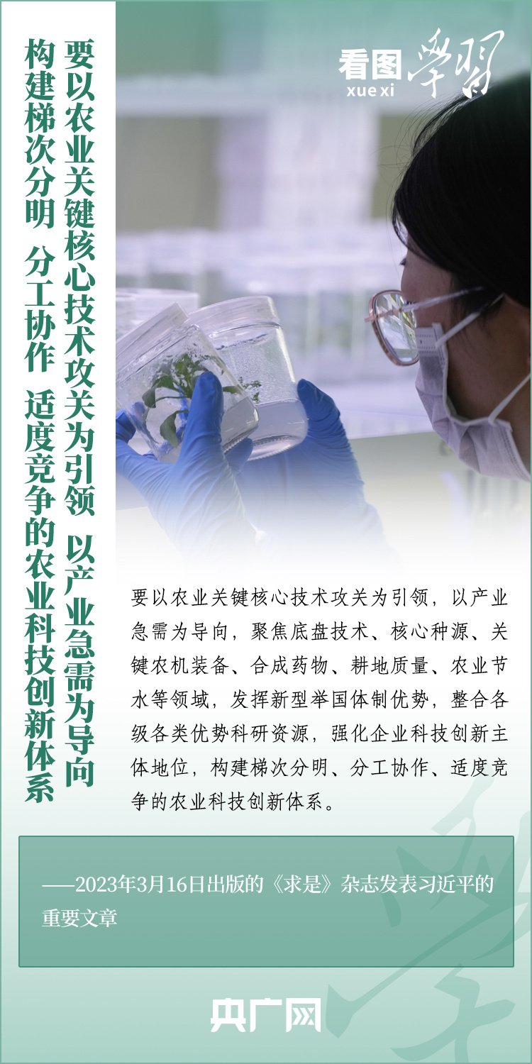 看圖學(xué)習(xí)丨推廣良田、良種、良法、良機(jī) 給農(nóng)業(yè)現(xiàn)代化插上科技的翅膀