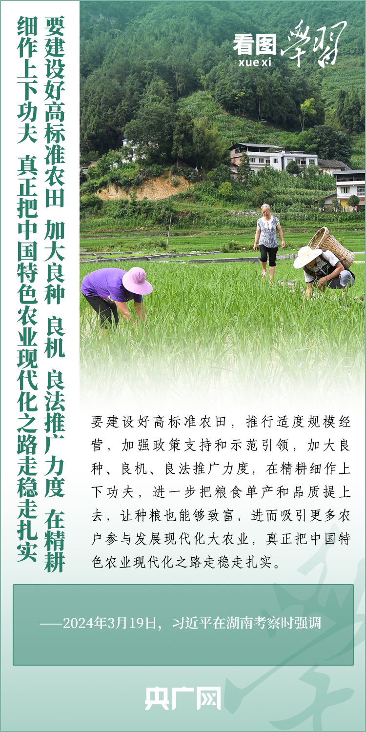 看圖學(xué)習(xí)丨推廣良田、良種、良法、良機(jī) 給農(nóng)業(yè)現(xiàn)代化插上科技的翅膀