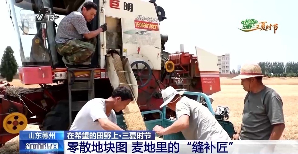 “三夏”生產(chǎn)思維導圖安排上了！還有政府大院等你來“曬”