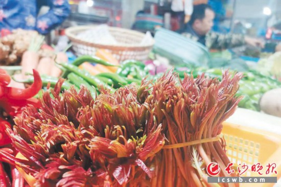 　　農(nóng)貿(mào)市場里鮮嫩的香椿?！　【鶠殚L沙晚報(bào)全媒體記者 劉捷萍 攝