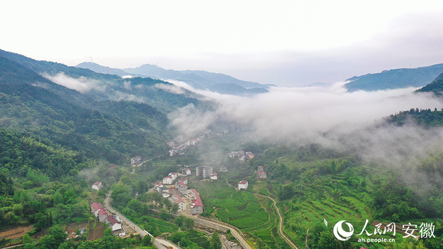 雨后的金寨大灣村，云霧環(huán)繞，宛如一幅田園山水畫卷。人民網(wǎng) 張俊攝
