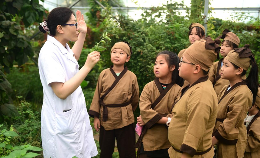 參加活動(dòng)的孩子聆聽(tīng)滄州市人民醫(yī)院國(guó)醫(yī)館中醫(yī)對(duì)中藥材的講解。 傅新春攝