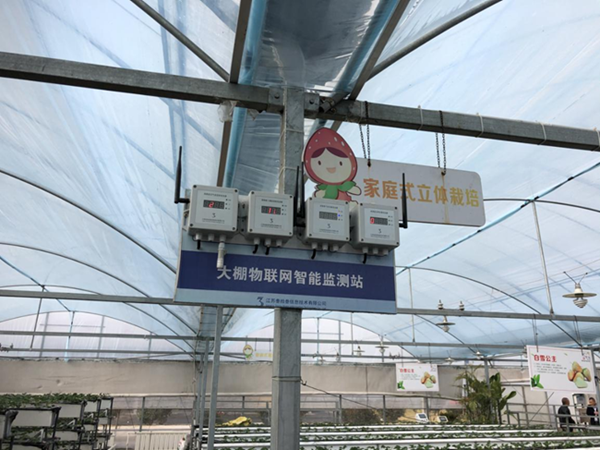 都市四季果園內(nèi)的物聯(lián)網(wǎng)智能監(jiān)測(cè)站系統(tǒng)。東?？h委宣傳部供圖