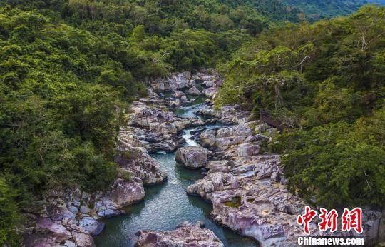 2018年海南生態(tài)環(huán)境狀況等級為“優(yōu)”，植被覆蓋率高，生物多樣性豐富，生態(tài)系統(tǒng)穩(wěn)定，圖為海南中部熱帶雨林?！●樤骑w　攝