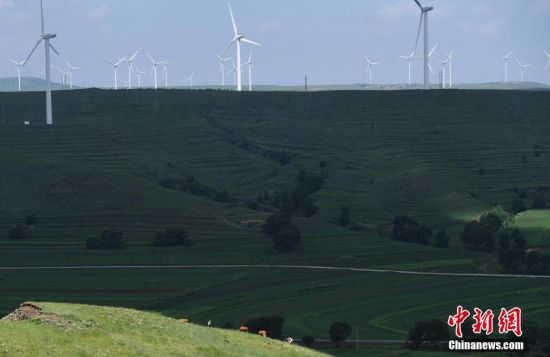 6月28日，河北張家口張北草原上大片風(fēng)力發(fā)電的“風(fēng)車”規(guī)模宏大。 中新社記者 楊艷敏 攝