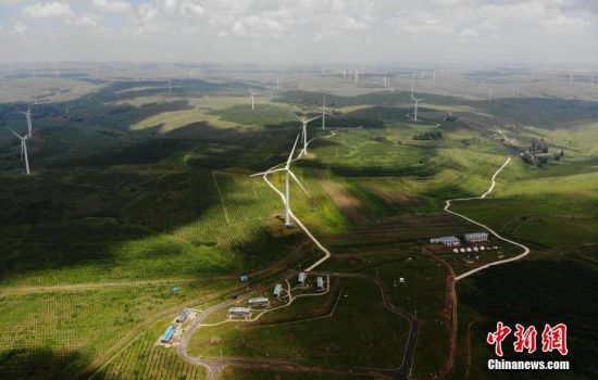 6月28日，河北張家口張北草原上大片風(fēng)力發(fā)電的“風(fēng)車”規(guī)模宏大。 中新社記者 楊艷敏 攝