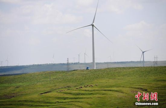 6月28日，河北張家口張北草原上大片風(fēng)力發(fā)電的“風(fēng)車”規(guī)模宏大。 中新社記者 楊艷敏 攝