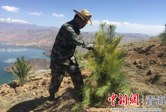 圖為尖扎干部職工生態(tài)建設(shè)和環(huán)境保護現(xiàn)場。尖宣 供圖