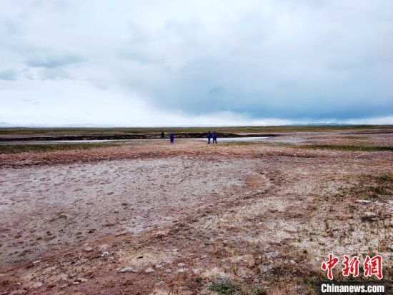 圖為救援力量在青海省西部搜救失聯(lián)的江蘇南京某大學女生黃某某。海西州藍天應急救援中心 供圖