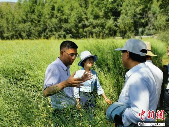 圖為九三學(xué)社青海省委主委杜德志(左一)在基層調(diào)研。受訪者供圖