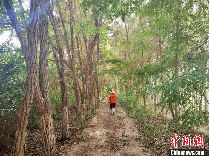 戈壁灘上的護(hù)林員：以前風(fēng)吹睜不開(kāi)眼，現(xiàn)在滿眼皆綠色