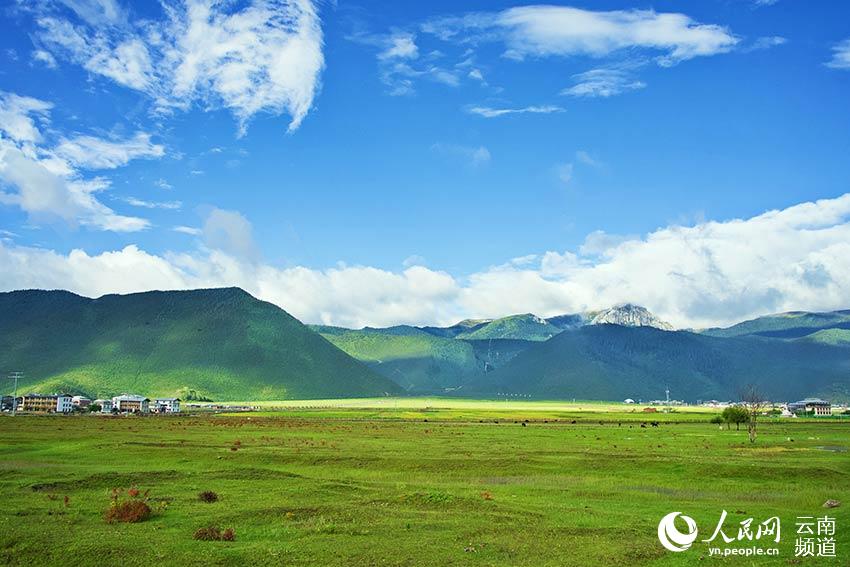 納帕海濕地風(fēng)景。呂昊辰攝