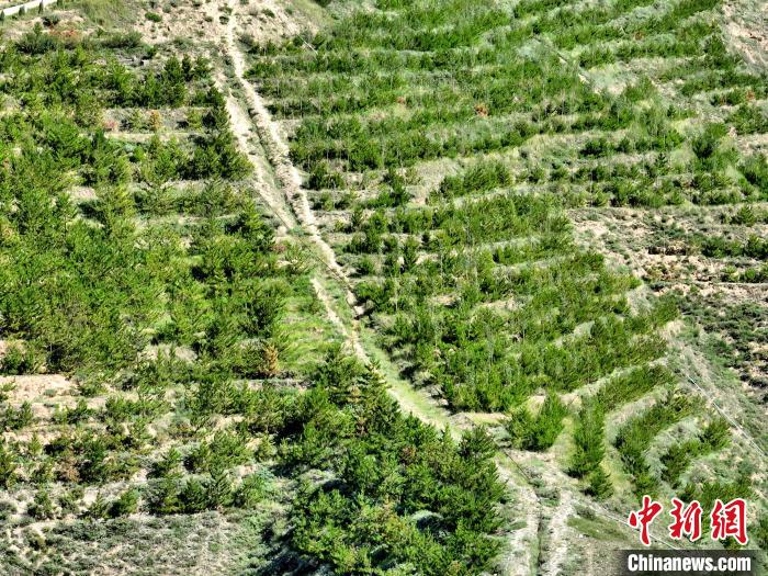航拍建行青海省分行綠化區(qū)?！∑钤鲚?攝