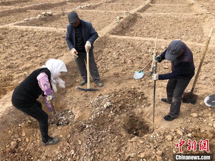 資料圖為建行青海省分行綠化區(qū)施工隊(duì)隊(duì)員處理亂石?！〗ㄐ星嗪Ｊ》中泄﹫D