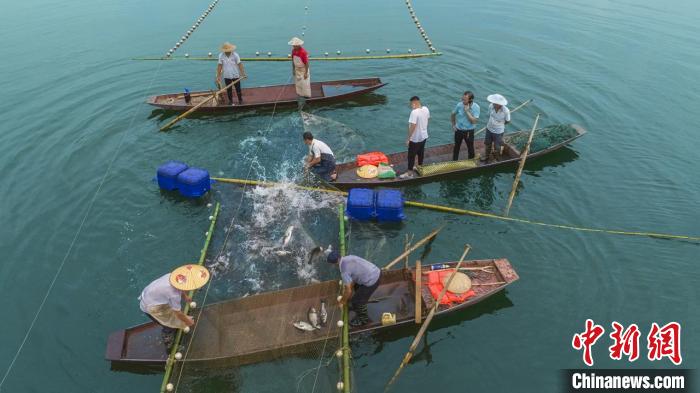 捕魚現(xiàn)場?！≈鬓k方供圖