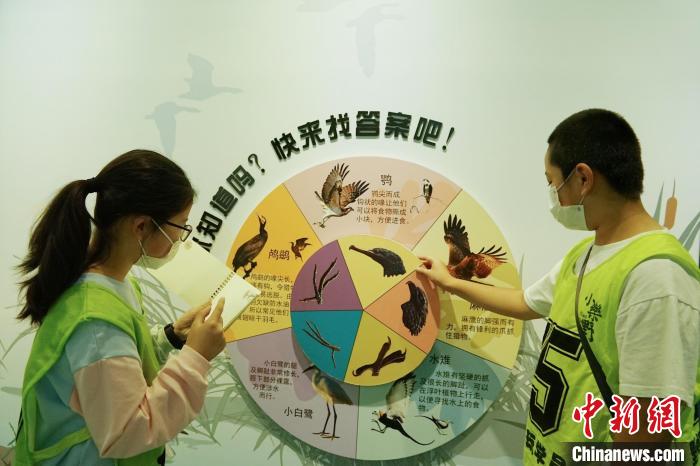 圖為小朋友在青海西寧湟水國家濕地公園科普館內(nèi)參觀學(xué)習(xí)?！●R銘言 攝