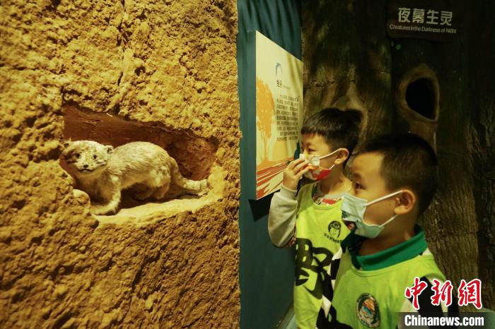 圖為小朋友在青海西寧湟水國家濕地公園科普館內(nèi)參觀學(xué)習(xí)。　馬銘言 攝