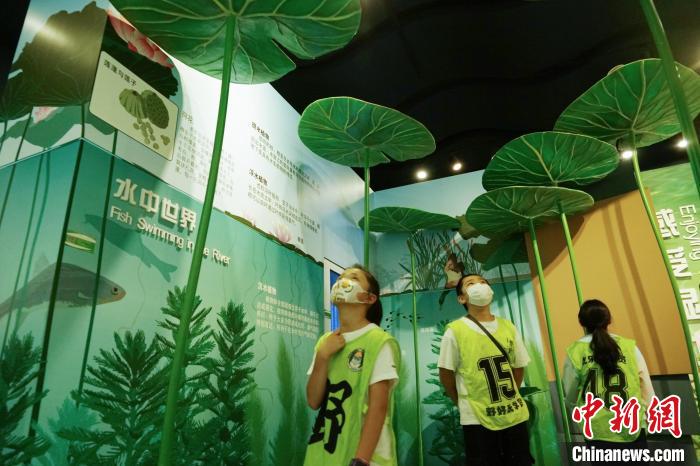 圖為小朋友在青海西寧湟水國家濕地公園科普館內(nèi)參觀學(xué)習(xí)?！●R銘言 攝