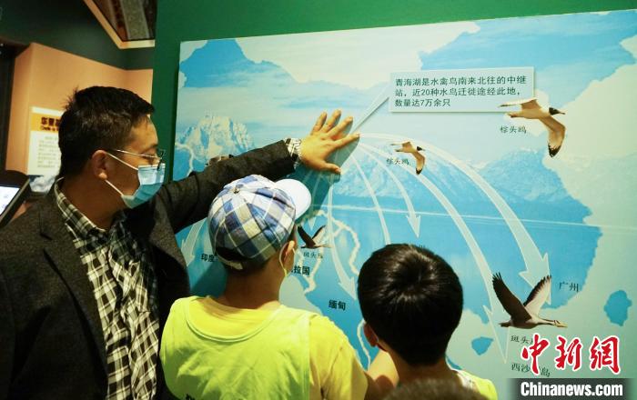 圖為小朋友在青海西寧湟水國家濕地公園科普館內(nèi)參觀學(xué)習(xí)?！●R銘言 攝