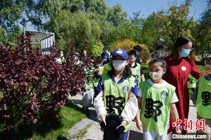 圖為小朋友在青海西寧湟水國家濕地公園內(nèi)認(rèn)識(shí)植物?！●R銘言 攝